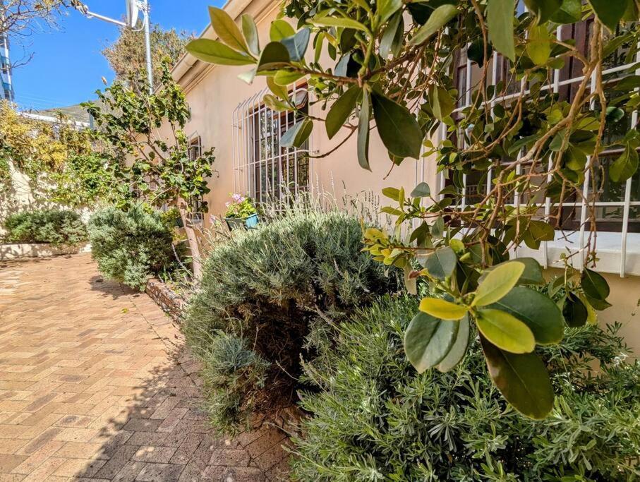 Beachside 2bd In The Heart Of Sea Point! * Cape Town