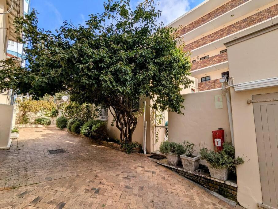 Apartment Beachside 2bd In The Heart Of Sea Point! Cape Town